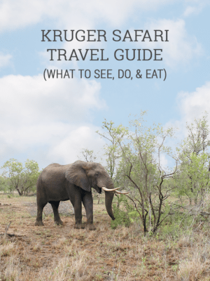 Kruger Safari Travel Guide thumbnail