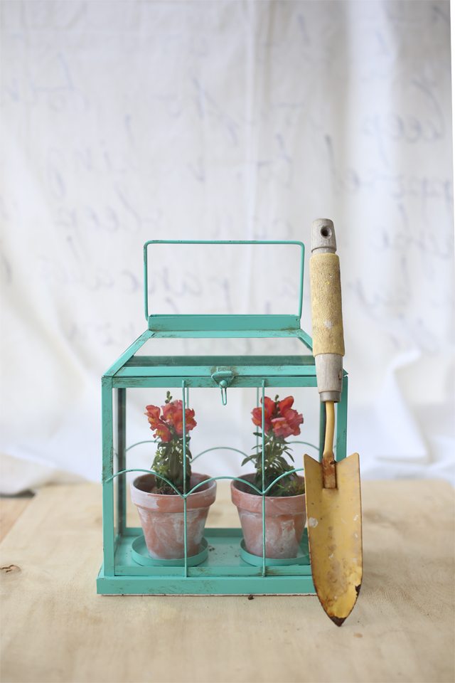 https://www.shrimpsaladcircus.com/wp-content/uploads/2016/04/Easy-DIY-Flower-Terrarium-Make-a-Miniature-Greenhouse-Made-from-a-Candle-Holder.jpg