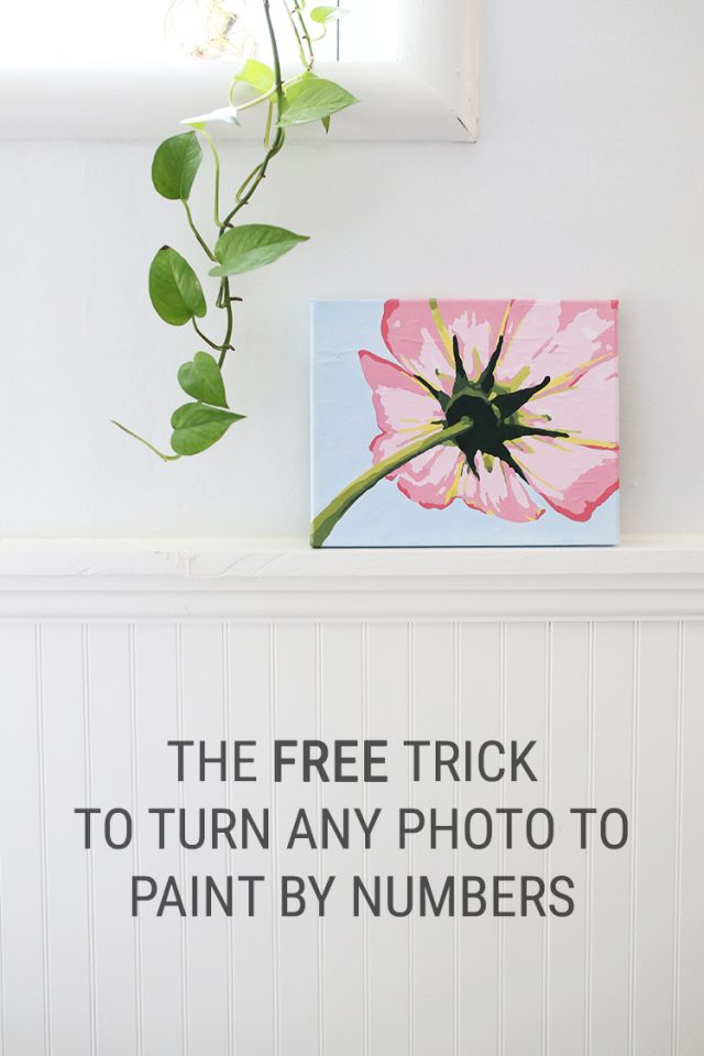 the free trick for how to turn a photo into paintnumbers