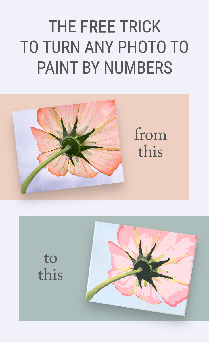 YOUR PHOTO AS PAINT BY NUMBERS